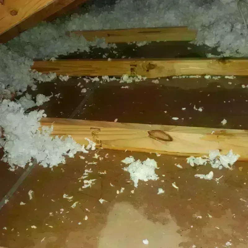 Attic Water Damage in Lake Summerset, IL