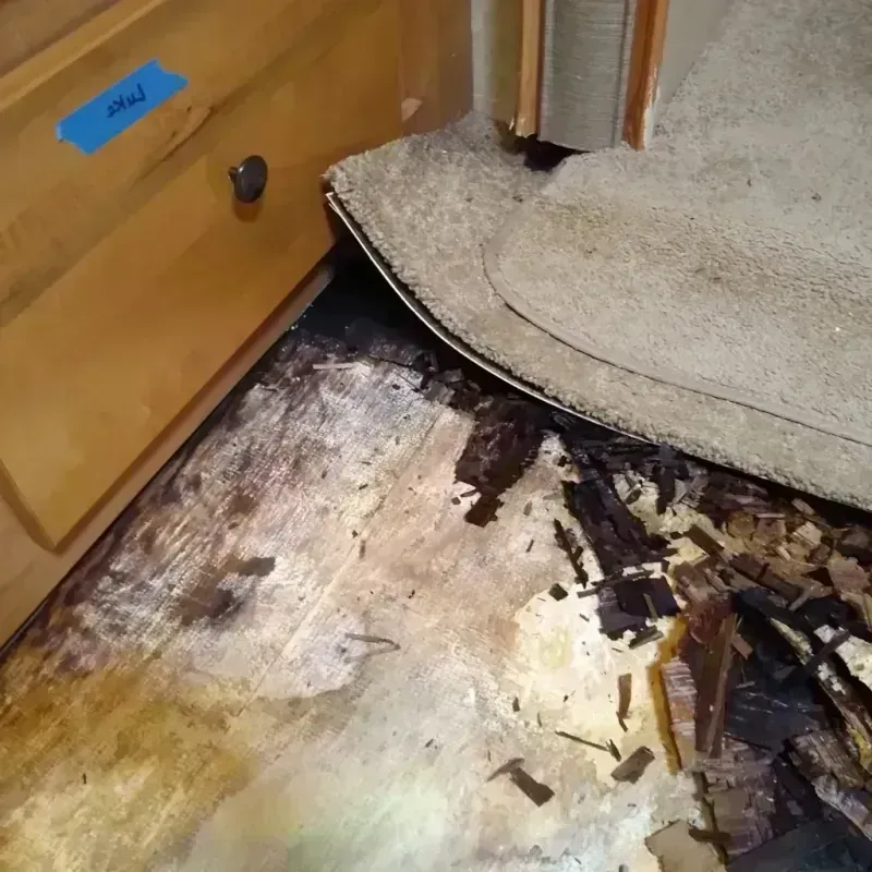 Best Wood Floor Water Damage Service in Lake Summerset, IL